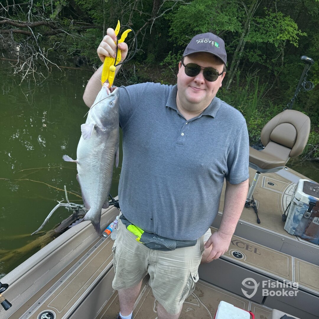 Lenoir City Report Photo 0