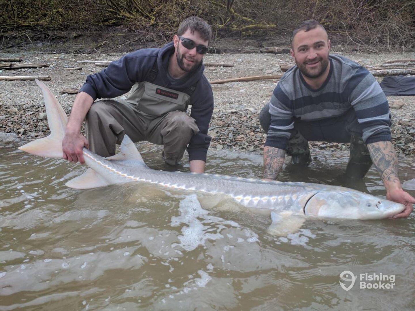 Chilliwack Report Photo 0