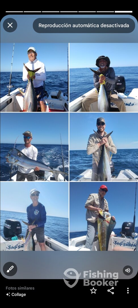 San Jose del Cabo Report Photo 0
