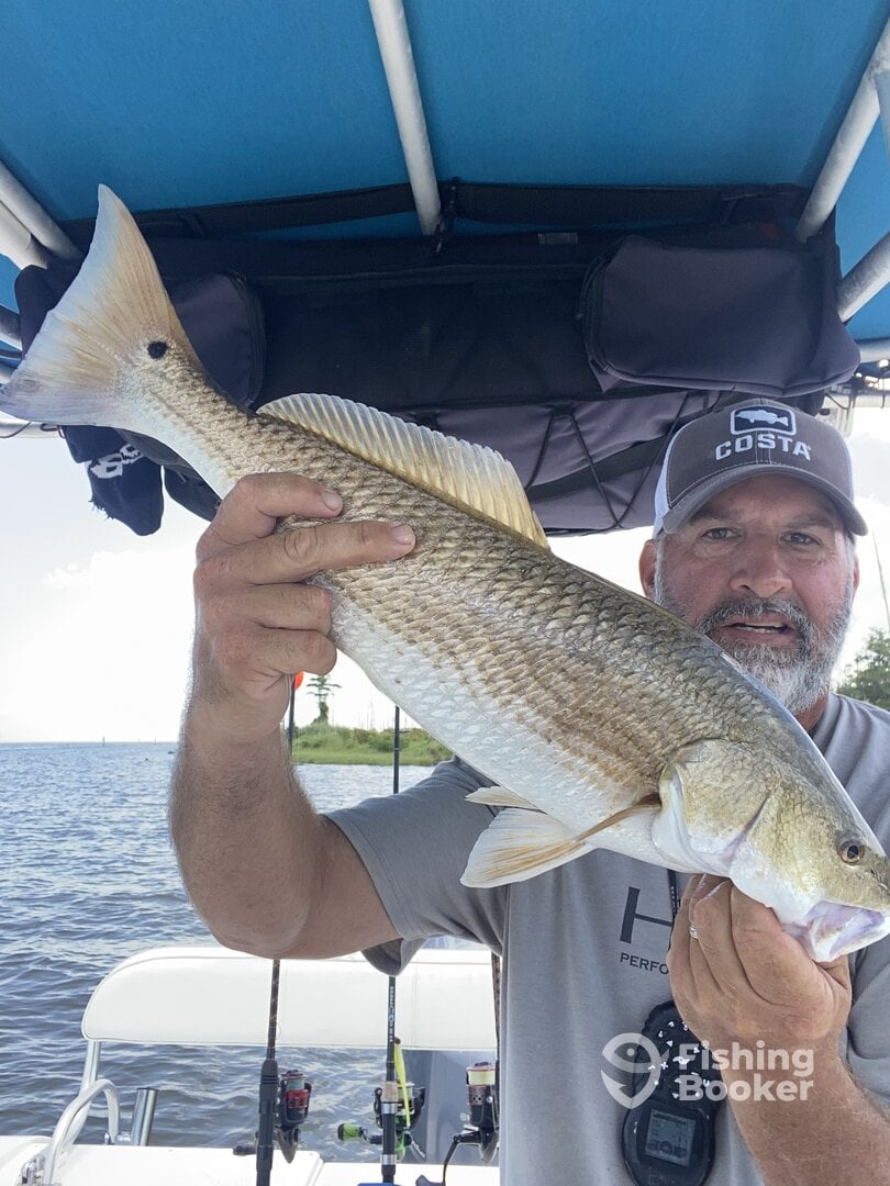 Fairhope Report Photo 0