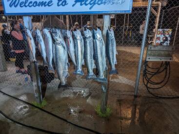 Sturgeon Bay Report Photo 2