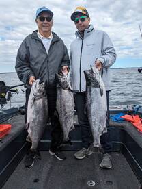 Salmon are on fire!