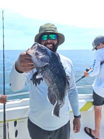 Big Seabass Shooter Spadefish Spanish Ma