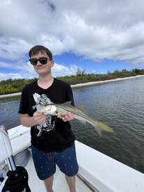 Sarasota Report Photo 1