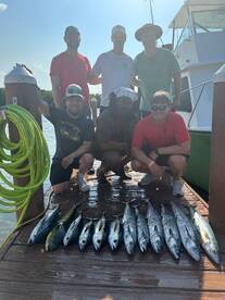 Dania Beach Report Photo 1