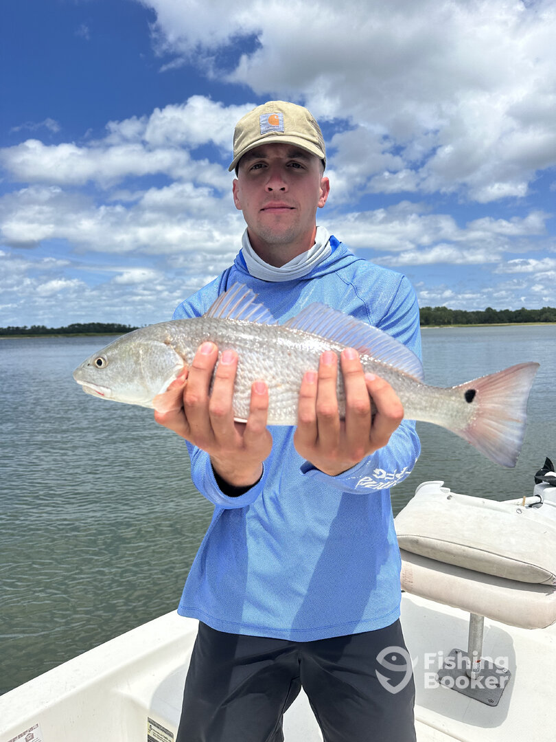 Hilton Head Island Report Photo 0