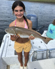 Jacksonville Report Photo 2