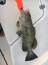 Fort Pierce Report Photo 1