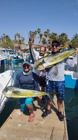 Mahi-mahi ???