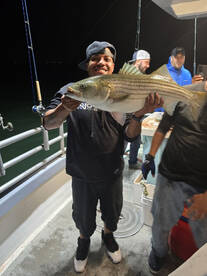 Giant striped bass 