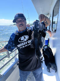 Bridgeport Report Photo 1