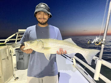 Bridgeport Report Photo 3