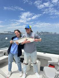 Striped Bass are here!!!