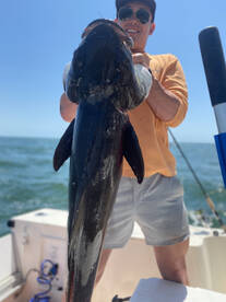 Hampton Report Photo 1