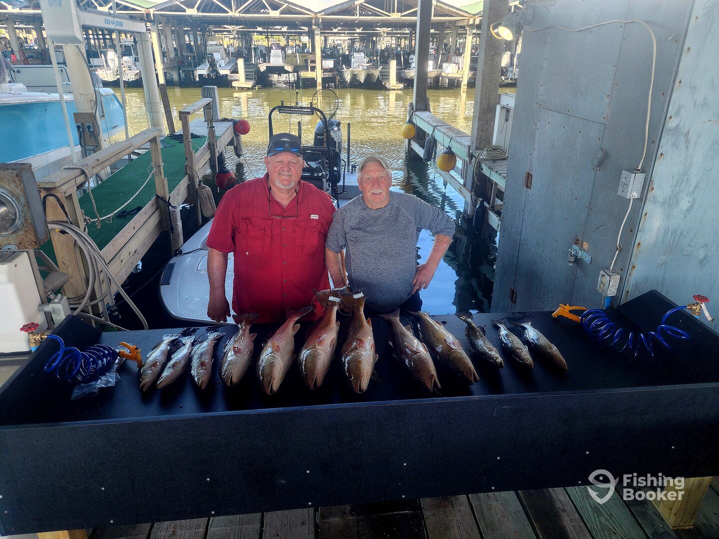 Port Mansfield Report Photo 0