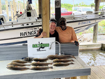 St. Bernard Report Photo 2