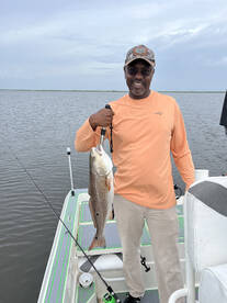 St. Bernard Report Photo 1