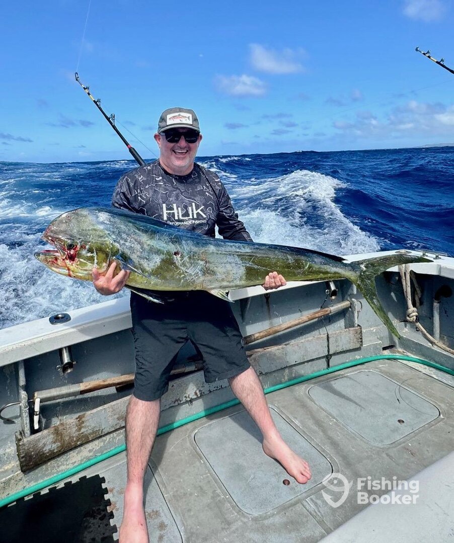 Haleiwa Report Photo 0