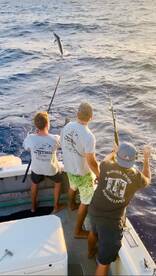 Haleiwa Report Photo 1