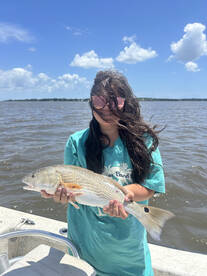 Beaufort Report Photo 1