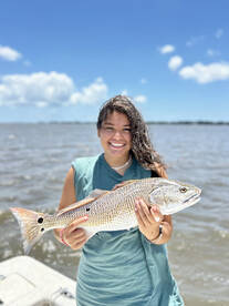Redfish bite is ?
