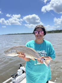 Beaufort Report Photo 2