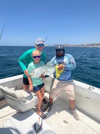 San Jose del Cabo Report Photo 2