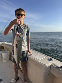 Big BlueFish on the Troll 