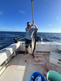 Rincon Report Photo 1