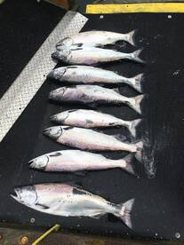 May 03 morning charter