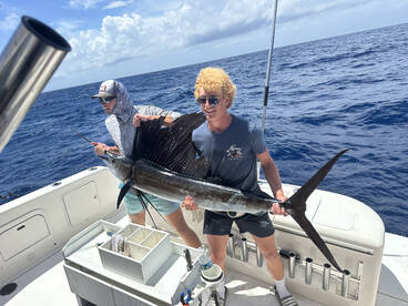 Sunny windy day with the Sails!