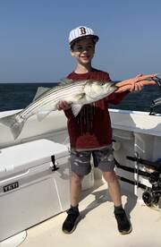 Stripers remain strong on the rips