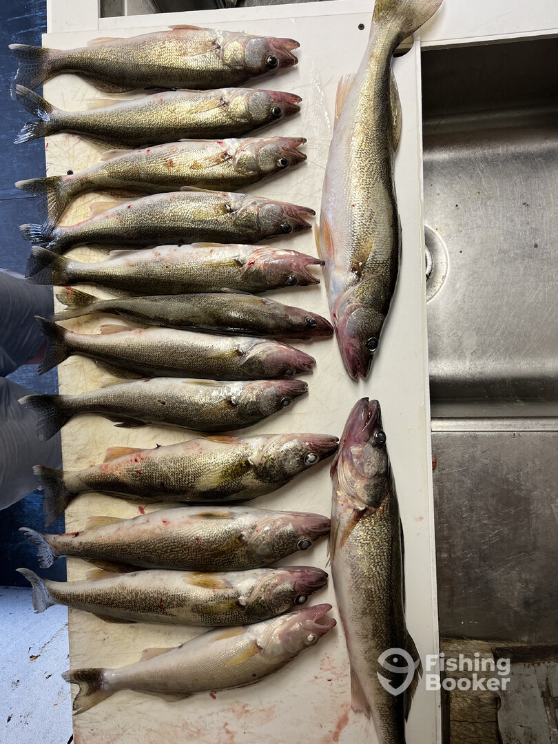 Good eaters!