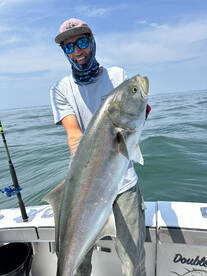 Monster Striped Bass are here!