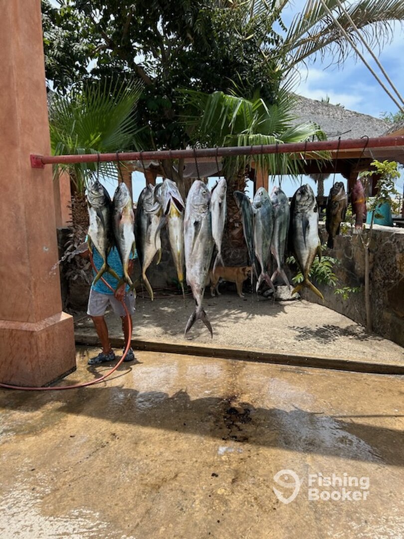 San Jose del Cabo Report Photo 0