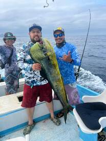 Mahi mahi are on fire? 