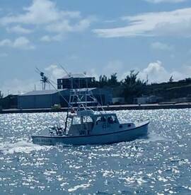Sandys Report Photo 1