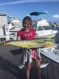 Here Come The Mahi Mahi