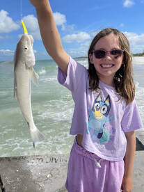 Longboat Key Report Photo 1