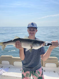 June spectacular!!!!