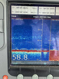 Alghero Report Photo 4