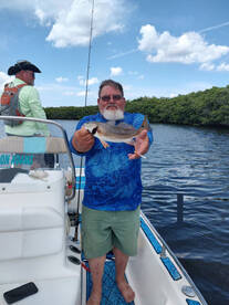 Crystal River Report Photo 1
