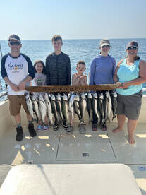 Waukegan Report Photo 2