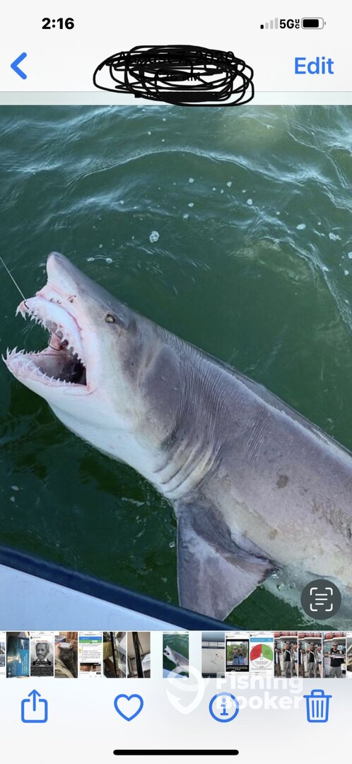 Wildwood Crest Report Photo 0