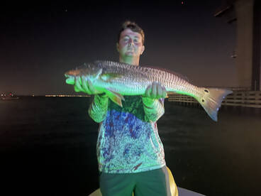 Milton Report Photo 2