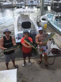 Fort Lauderdale Report Photo 2