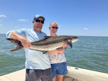 Gloucester Point Report Photo 2