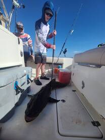 Gulf Shores Report Photo 2