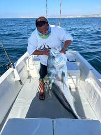 San Jose del Cabo Report Photo 2