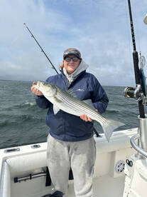 Dennis Report Photo 2
